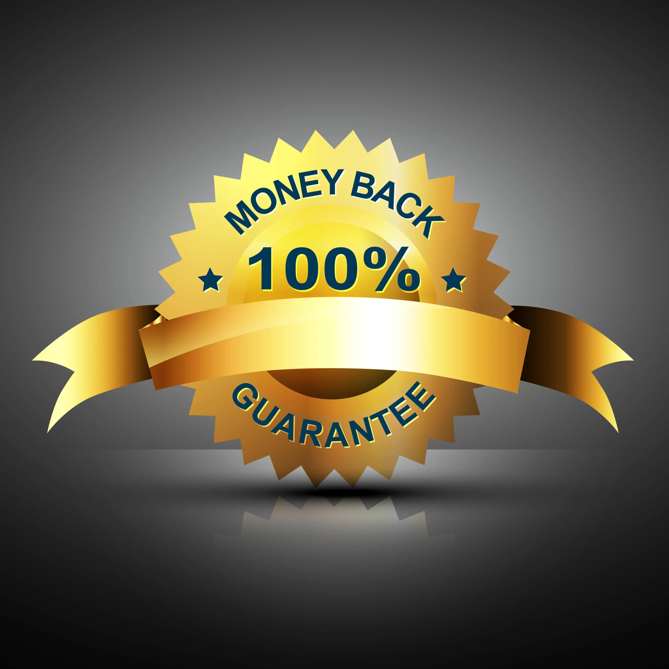 100% Money-Back Guarantee​